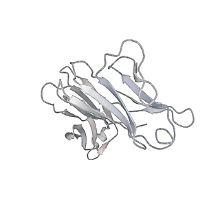 32920_7x08_M_v1-0
S protein of SARS-CoV-2 in complex with 2G1