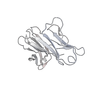 32920_7x08_M_v2-0
S protein of SARS-CoV-2 in complex with 2G1