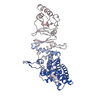 32922_7x0a_G_v1-1
Cryo-EM structure of human TRiC-NPP state