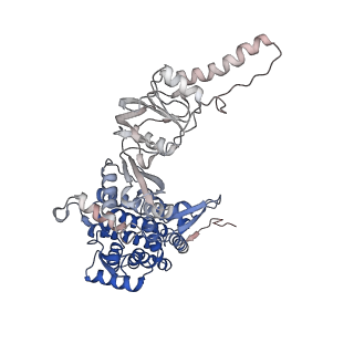 32922_7x0a_H_v1-1
Cryo-EM structure of human TRiC-NPP state