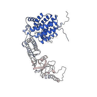 32922_7x0a_d_v1-1
Cryo-EM structure of human TRiC-NPP state