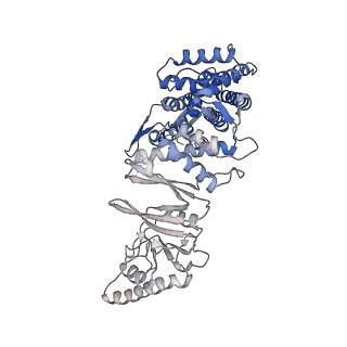 32922_7x0a_e_v1-1
Cryo-EM structure of human TRiC-NPP state
