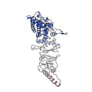 32922_7x0a_g_v1-1
Cryo-EM structure of human TRiC-NPP state