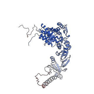 32922_7x0a_q_v1-1
Cryo-EM structure of human TRiC-NPP state