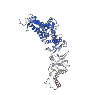 32922_7x0a_z_v1-1
Cryo-EM structure of human TRiC-NPP state