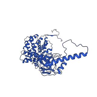 32923_7x0s_B_v1-1
Human TRiC-tubulin-S3