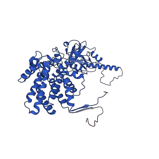32923_7x0s_L_v1-1
Human TRiC-tubulin-S3