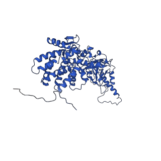 32923_7x0s_M_v1-1
Human TRiC-tubulin-S3