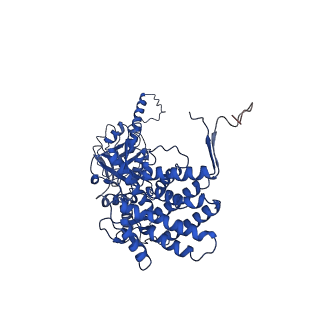32923_7x0s_O_v1-1
Human TRiC-tubulin-S3