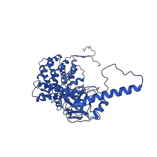 32926_7x0v_B_v1-1
cryo-EM structure of human TRiC-ADP-AlFx