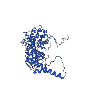 32926_7x0v_E_v1-1
cryo-EM structure of human TRiC-ADP-AlFx