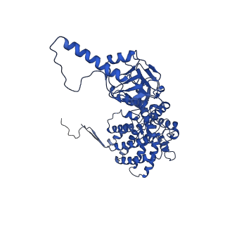 32926_7x0v_G_v1-1
cryo-EM structure of human TRiC-ADP-AlFx