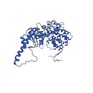 32926_7x0v_J_v1-1
cryo-EM structure of human TRiC-ADP-AlFx