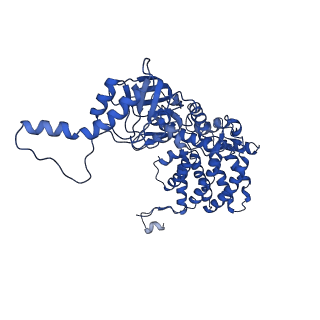 32926_7x0v_K_v1-1
cryo-EM structure of human TRiC-ADP-AlFx