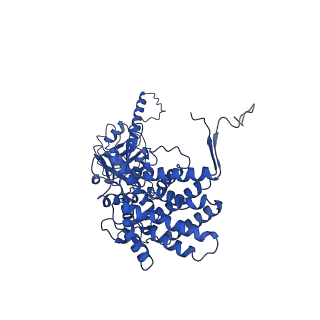 32926_7x0v_O_v1-1
cryo-EM structure of human TRiC-ADP-AlFx