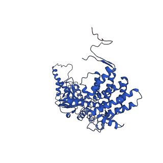 32926_7x0v_P_v1-1
cryo-EM structure of human TRiC-ADP-AlFx