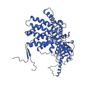32926_7x0v_a_v1-1
cryo-EM structure of human TRiC-ADP-AlFx