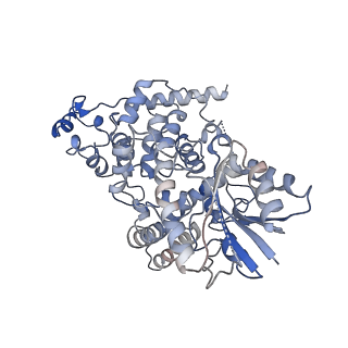32928_7x0x_A_v1-1
Cryo-EM Structure of Arabidopsis CRY2 in active conformation