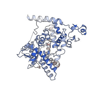 32928_7x0x_B_v1-1
Cryo-EM Structure of Arabidopsis CRY2 in active conformation