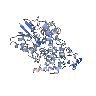 32928_7x0x_D_v1-1
Cryo-EM Structure of Arabidopsis CRY2 in active conformation