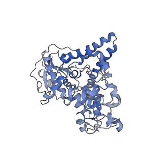 32929_7x0y_A_v1-1
Cryo-EM Structure of Arabidopsis CRY2 tetramer in complex with CIB1 fragment