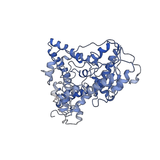 32929_7x0y_B_v1-1
Cryo-EM Structure of Arabidopsis CRY2 tetramer in complex with CIB1 fragment