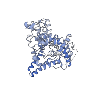 32929_7x0y_C_v1-1
Cryo-EM Structure of Arabidopsis CRY2 tetramer in complex with CIB1 fragment