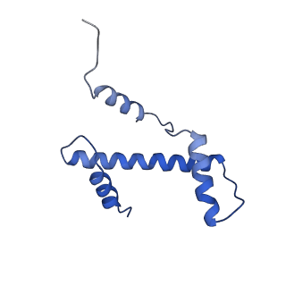 6699_5x0x_A_v1-3
Complex of Snf2-Nucleosome complex with Snf2 bound to position +6 of the nucleosome