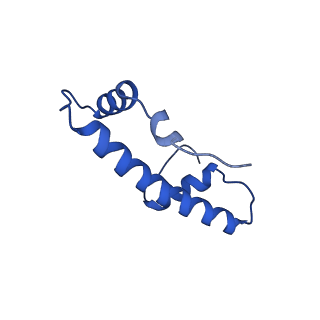 6699_5x0x_B_v1-2
Complex of Snf2-Nucleosome complex with Snf2 bound to position +6 of the nucleosome