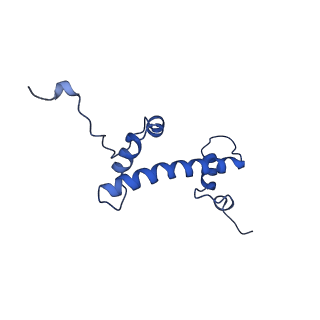 6699_5x0x_C_v1-2
Complex of Snf2-Nucleosome complex with Snf2 bound to position +6 of the nucleosome