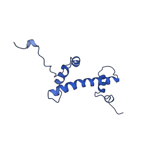 6699_5x0x_C_v1-3
Complex of Snf2-Nucleosome complex with Snf2 bound to position +6 of the nucleosome