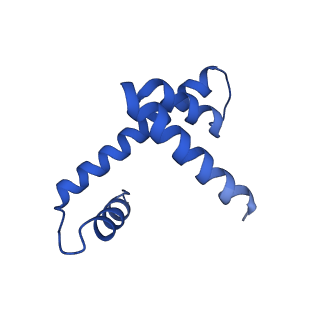 6699_5x0x_D_v1-2
Complex of Snf2-Nucleosome complex with Snf2 bound to position +6 of the nucleosome