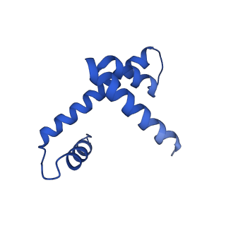 6699_5x0x_D_v1-3
Complex of Snf2-Nucleosome complex with Snf2 bound to position +6 of the nucleosome