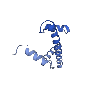 6699_5x0x_E_v1-3
Complex of Snf2-Nucleosome complex with Snf2 bound to position +6 of the nucleosome