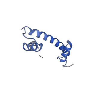6699_5x0x_F_v1-2
Complex of Snf2-Nucleosome complex with Snf2 bound to position +6 of the nucleosome