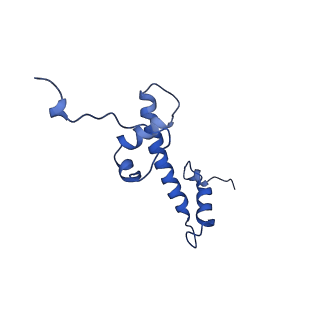 6699_5x0x_G_v1-2
Complex of Snf2-Nucleosome complex with Snf2 bound to position +6 of the nucleosome