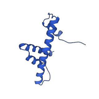 6699_5x0x_H_v1-2
Complex of Snf2-Nucleosome complex with Snf2 bound to position +6 of the nucleosome
