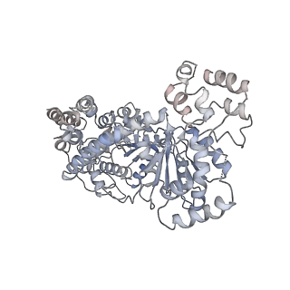 6699_5x0x_O_v1-2
Complex of Snf2-Nucleosome complex with Snf2 bound to position +6 of the nucleosome