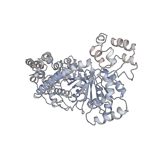 6699_5x0x_O_v1-3
Complex of Snf2-Nucleosome complex with Snf2 bound to position +6 of the nucleosome