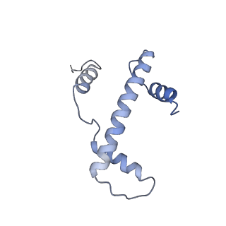 6700_5x0y_A_v1-3
Complex of Snf2-Nucleosome complex with Snf2 bound to SHL2 of the nucleosome
