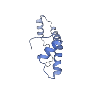 6700_5x0y_B_v1-4
Complex of Snf2-Nucleosome complex with Snf2 bound to SHL2 of the nucleosome