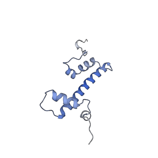 6700_5x0y_C_v1-3
Complex of Snf2-Nucleosome complex with Snf2 bound to SHL2 of the nucleosome