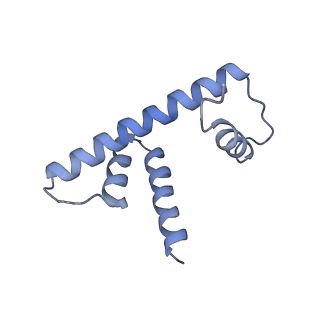 6700_5x0y_D_v1-4
Complex of Snf2-Nucleosome complex with Snf2 bound to SHL2 of the nucleosome