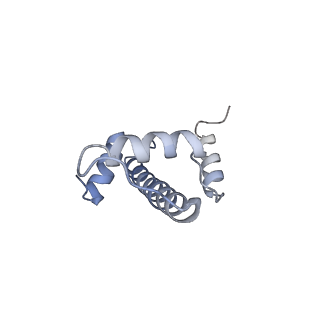 6700_5x0y_E_v1-3
Complex of Snf2-Nucleosome complex with Snf2 bound to SHL2 of the nucleosome