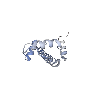 6700_5x0y_E_v1-4
Complex of Snf2-Nucleosome complex with Snf2 bound to SHL2 of the nucleosome