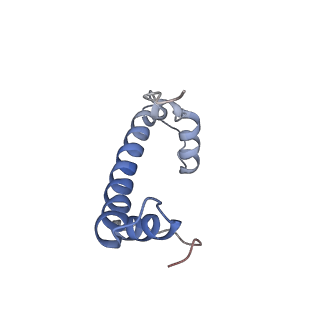 6700_5x0y_F_v1-3
Complex of Snf2-Nucleosome complex with Snf2 bound to SHL2 of the nucleosome