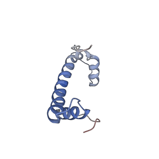 6700_5x0y_F_v1-4
Complex of Snf2-Nucleosome complex with Snf2 bound to SHL2 of the nucleosome