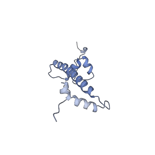 6700_5x0y_G_v1-3
Complex of Snf2-Nucleosome complex with Snf2 bound to SHL2 of the nucleosome