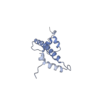 6700_5x0y_G_v1-4
Complex of Snf2-Nucleosome complex with Snf2 bound to SHL2 of the nucleosome