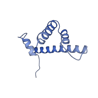 6700_5x0y_H_v1-3
Complex of Snf2-Nucleosome complex with Snf2 bound to SHL2 of the nucleosome